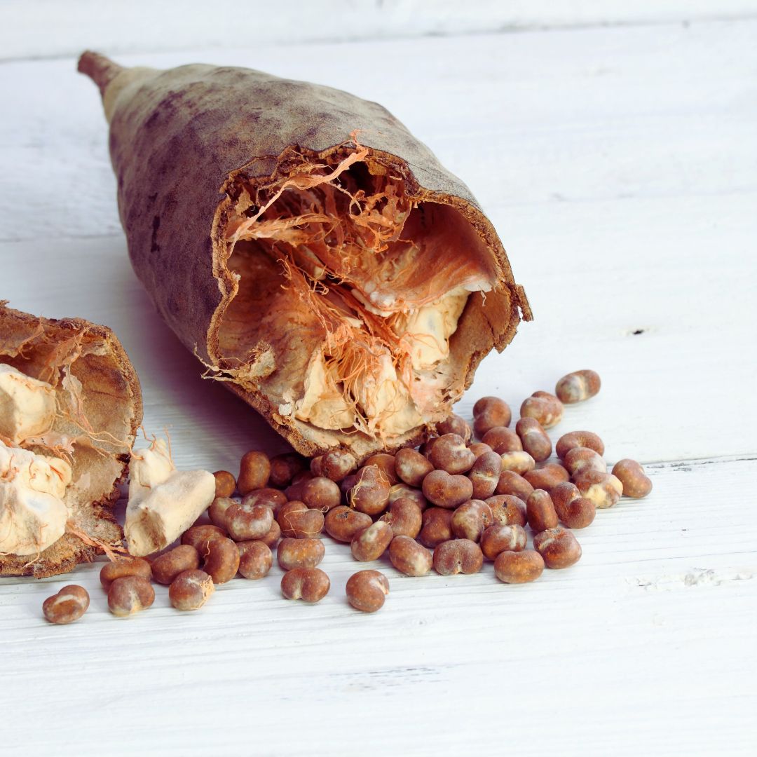 Baobab Seed Oil (Cold Pressed)