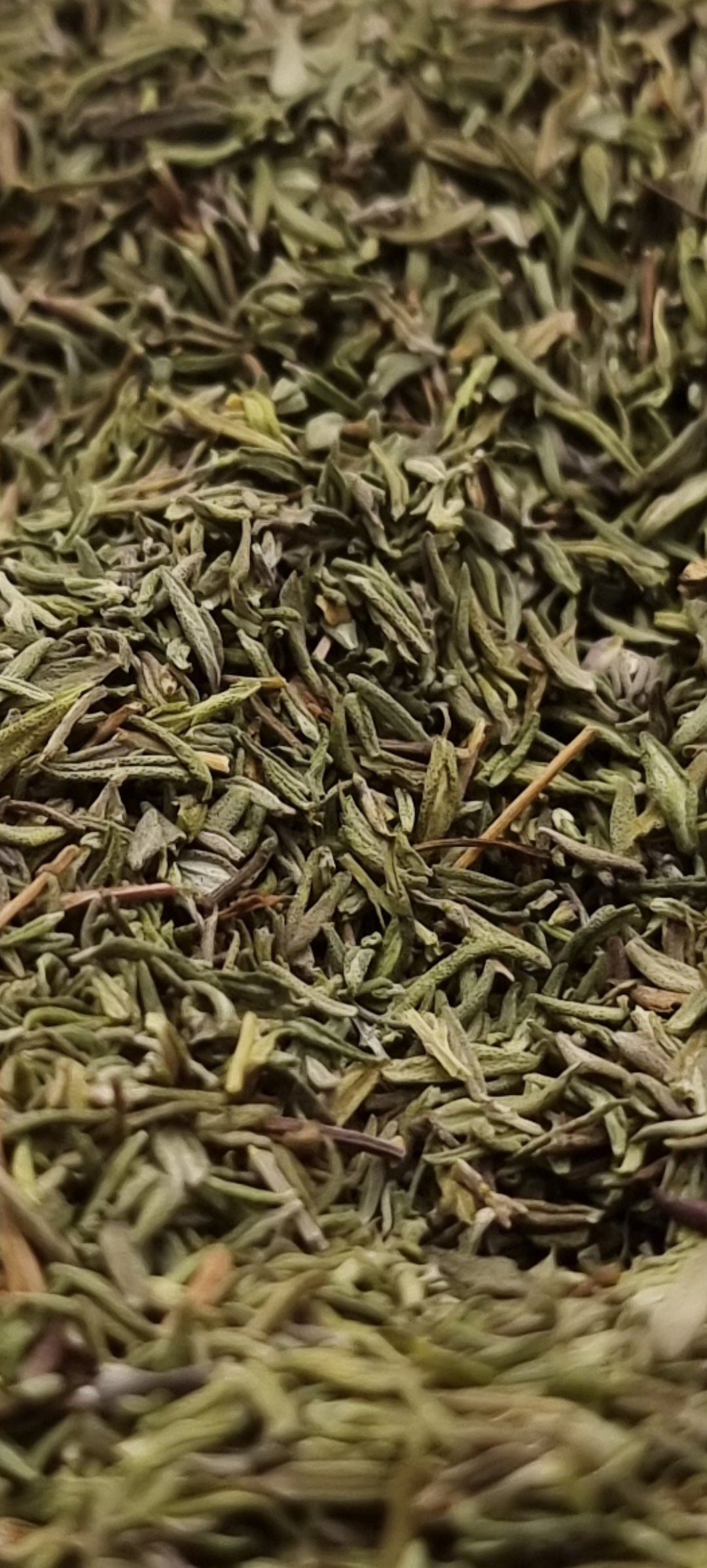 close up photo of green dried thyme leaves 