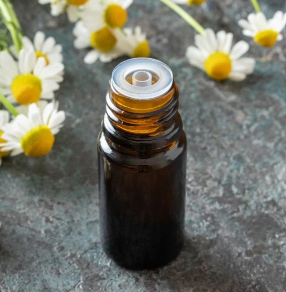 A bottle of chamomile essential oil beside fresh chamomile flowers.
