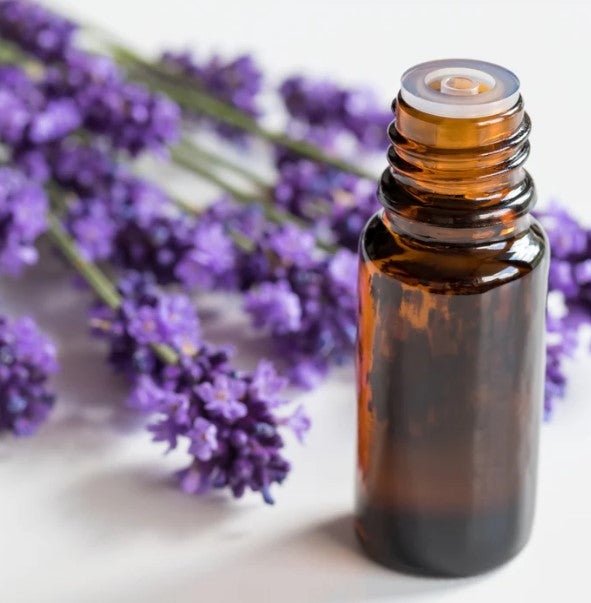 A bottle of lavender essential oil with fresh lavender flowers.
