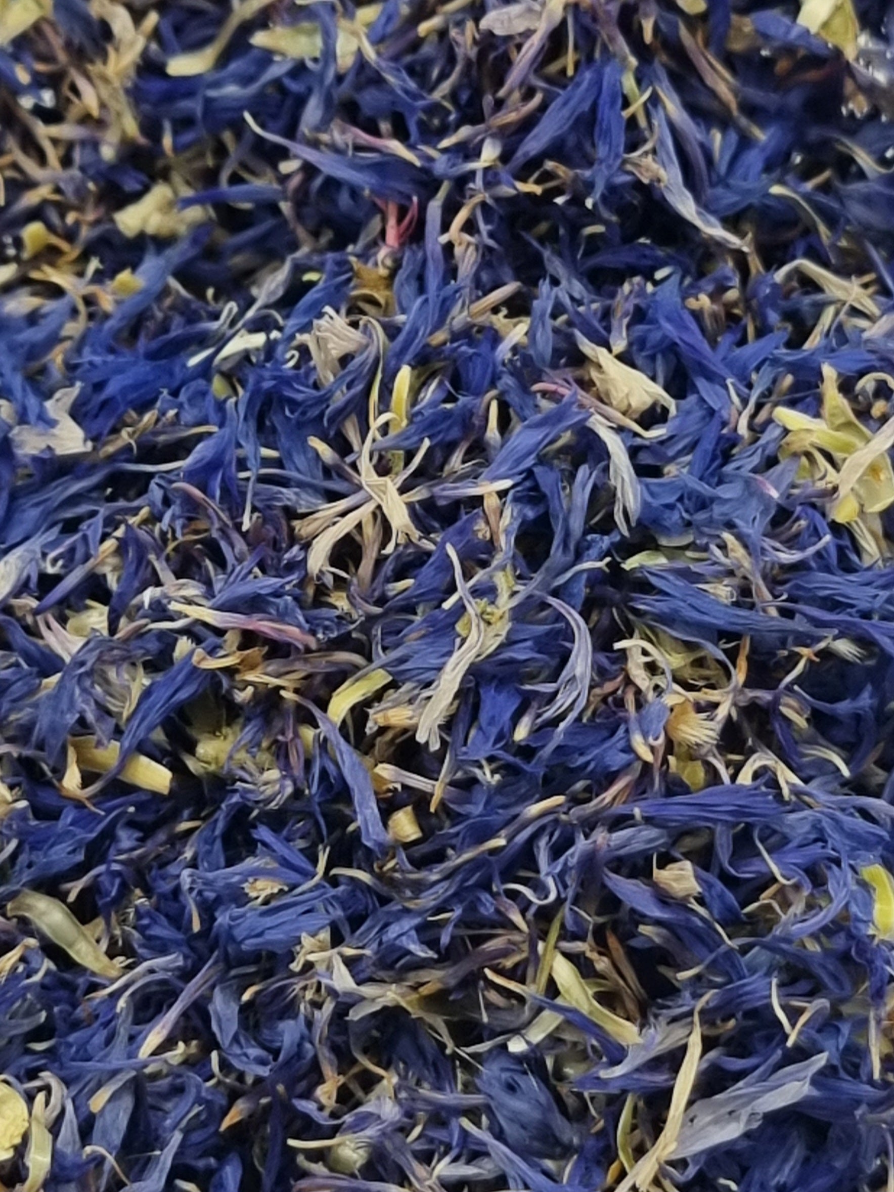 a close up photo of lots of small bright blue natural cornflower petals